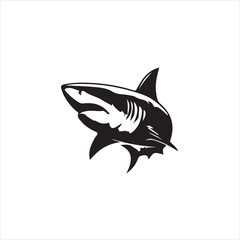 Shark head isolated on white background, vector illustration design concept