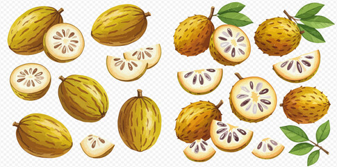 A collection of watercolor illustrations of Monk fruit and soursop, shown whole, halved, and sliced with leaves.