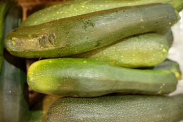 Basket full of fresh zucchini vegetables