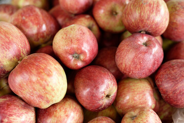 fresh red apples