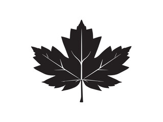 Maple Leaf Silhouette Vector Illustration Solid Black Graphic