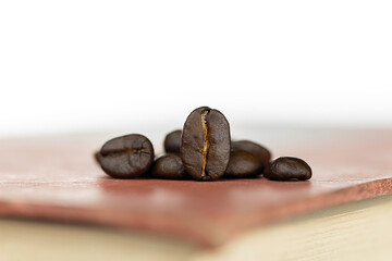 Coffee beans on an open book for a reading break. A cozy macro concept of leisure, study, and education with a warm, relaxing aroma.