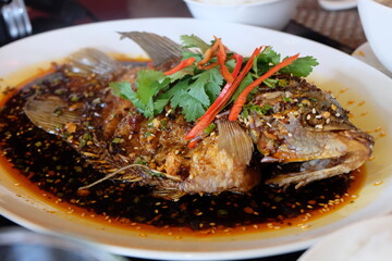 Chinese steamed fish with soy sauce 