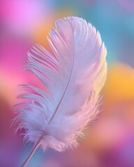 Obraz premium A single, delicate white feather, its barbs softly illuminated, stands against a vibrant, blurred backdrop of pastel pink, orange, and teal hues