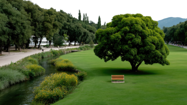 Solitary Tree in Scenic Park: Capture the tranquil beauty of nature with a striking, large tree gracing a perfectly manicured lawn beside a serene stream.