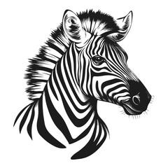  vector illustration zebra head and neck