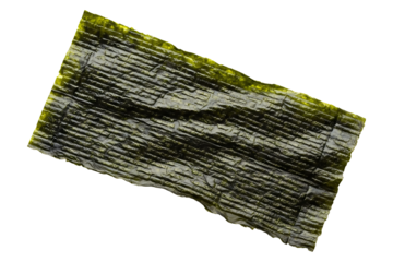 Seaweed nori sheet roasted dried laver snack food ingredient for sushi rolls recipe on transparent background