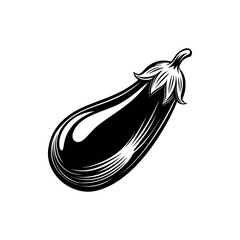Black and White Aubertine Illustration, Solanum melongena, with Bold Outlines and Detailing silhouette vector 