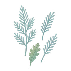 Fototapeta premium Watercolor Winter Leaves � Transparent PNG