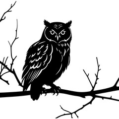 Majestic owl perched branch watching intently