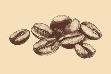 Coffee beans isolated on a white background. This vector illustration can be used in any size you like for advertising, logos, and other work.