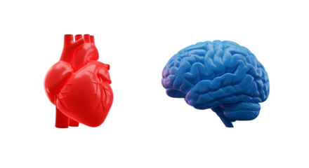 Balancing the heart s passion with the brain s logic and reason against a minimalist isolated black