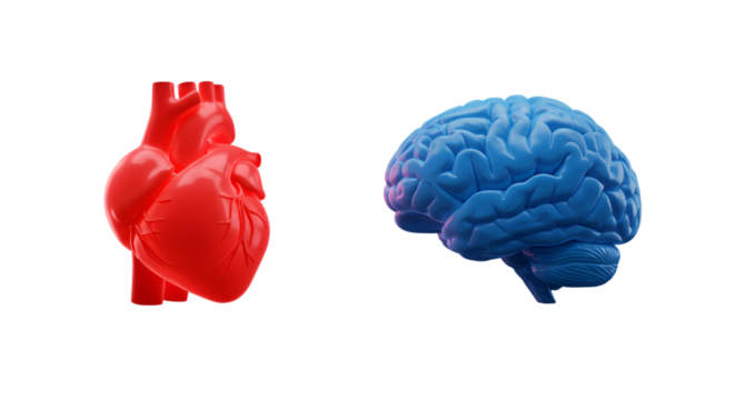 Balancing the heart s passion with the brain s logic and reason against a minimalist isolated black