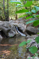 stones rocks nature trees river water waterfall landscape forest mountain