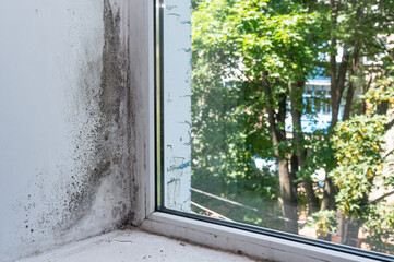 mold in corner of window. fungal invasion window sill.