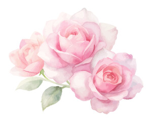 Watercolor pink rose bouquets