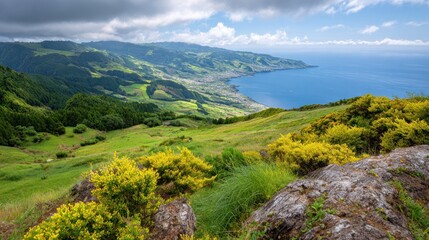 Naklejka premium Coastal Vista: Capturing the raw beauty of the coastline, the verdant landscape, and vast expanse of ocean meet beneath a clear, sunlit sky. Evoking a sense of serenity and adventure.