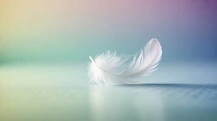 Obraz premium A single delicate white feather floating gently against a soft, gradient background of pastel colors, evoking a sense of peace and tranquility.