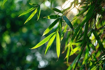 Obraz premium Close-up of vibrant bamboo leaves