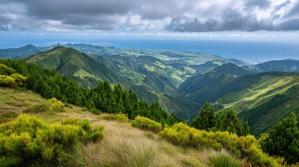 Azure Mountains and Ocean: A vast mountain range descends towards a cerulean ocean, framed by verdant flora under a cloudy, atmospheric sky. This panoramic landscape evokes serenity.