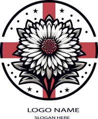 England aster flower logo icon vector white background .