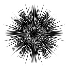 Obraz premium Black burst vector graphic design element for abstract backgrounds and modern art projects with radial lines