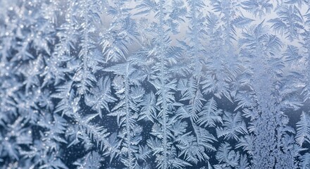 Ethereal Frost Ferns: Glistening Crystalline Patterns on a Cold Winter Window