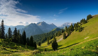 Fototapeta premium a mountain slope covered with green grass with tall coniferous trees in the foreground and distant mountain ranges on the horizon
