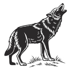 wolf vector illustration
