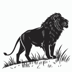 lion vector illustration