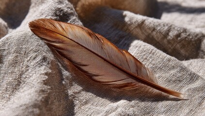 A single, light brown and tan bird feather rests on a textured, beige linen fabric, illuminated by sunlight
