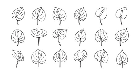 Anthurium line art icon bundle illustration