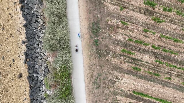 Vue a&eacute;rienne cyclistes roulant sur une piste cyclable entre terre et mer, sur l'Ile-de-R&eacute;. Tourisme estival et sportif.