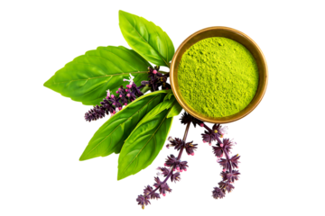 Fresh green basil leaves and powder in a bowl for culinary use and health benefits