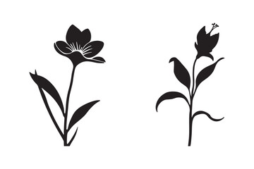 Two black silhouette flowers on a white background