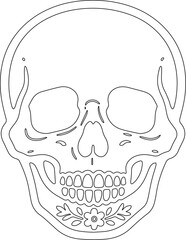 Skull line art