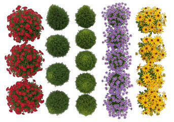 Top View Collection of Red, Green, Yellow, and Purple Flowers, Transparent Background