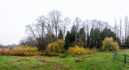 Fototapeta premium Burnaby Deer Lake Park, BC, Canada