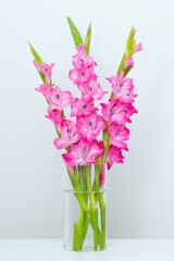 Bright pink gladiolus flowers arranged in a transparent glass vase with water against a white wall