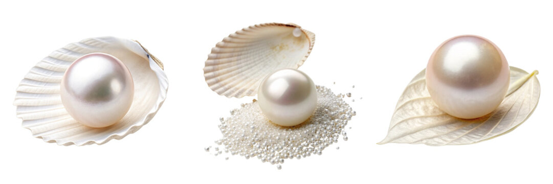 Set of A beautiful pearl isolated on a transparent background