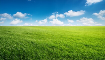 Fototapeta premium green grass field with blue sky for background or nature image