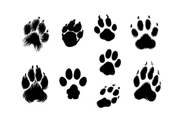 Fototapeta premium Collection of various animal paw prints displayed in a grid format on a clean white background