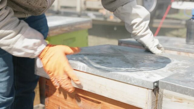  oxalic acid vaporizer treating beehive in beekeeping for varroa mite control