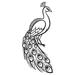 Fototapeta premium Vector illustration of peacock. peacock minimal art