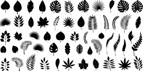 Collection of diverse tropical and palm leaves in silhouette on a white background © Rahul