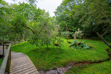 A landscaped garden park with a wooden pathway, a small stream, and decorative moss sculptures shaped like birds, surrounded by lush green forest.