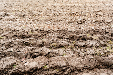 plowed field with tractor tracks ready for sowing