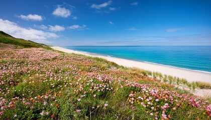 serene meadow gently sloping down to a tranquil sandy beach wildflowers in bloom clear blue sky reflecting on calm ocean water perfect summer escape scenery white