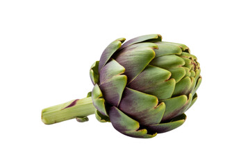 Obraz premium A single artichoke, green and purple, isolated on a transparent background. background removed