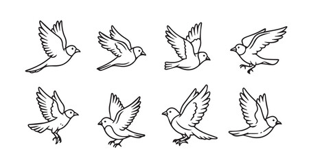 Birds flying line art icon bundle illustration